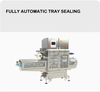 Fully Automatic
